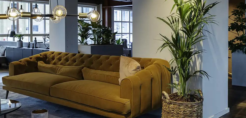 Sofa, Fletkurv med plante,
