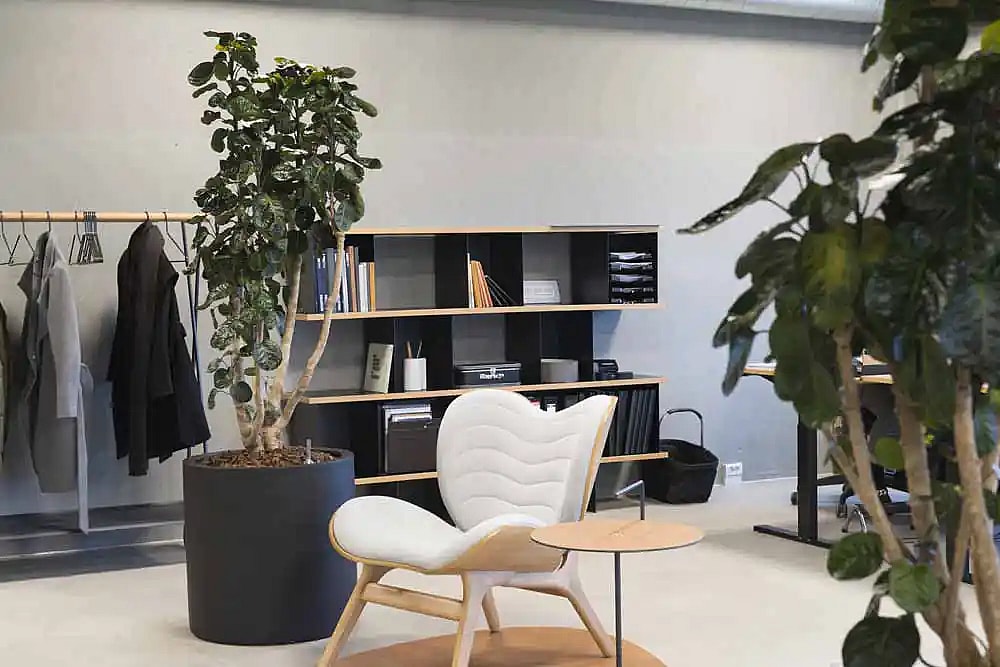 Kontor med grønne planter,