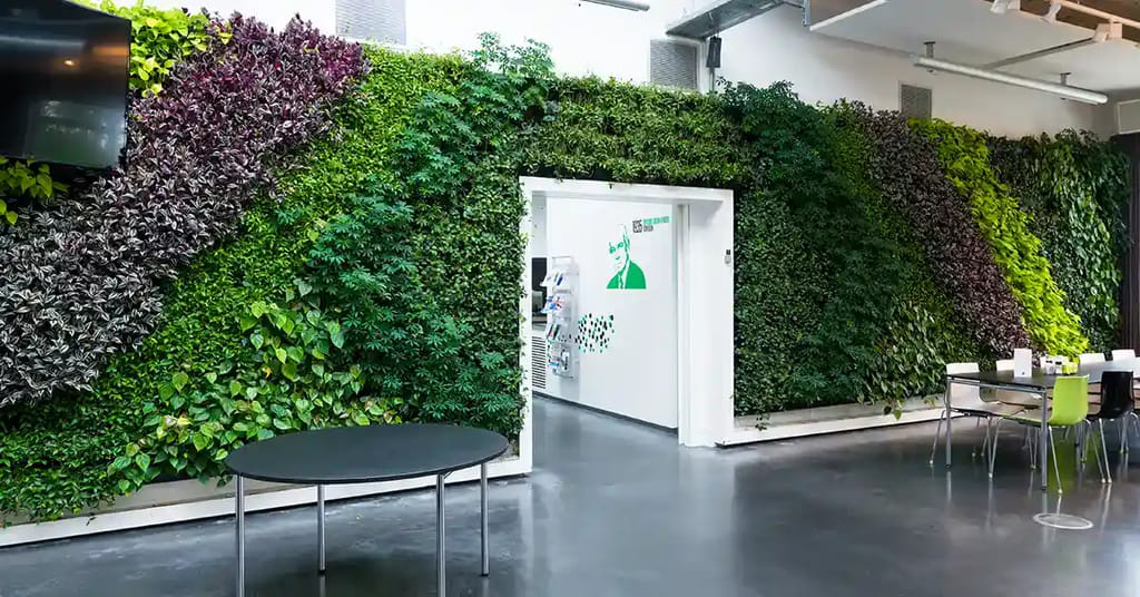 Indendørs plantevæg hos LIF