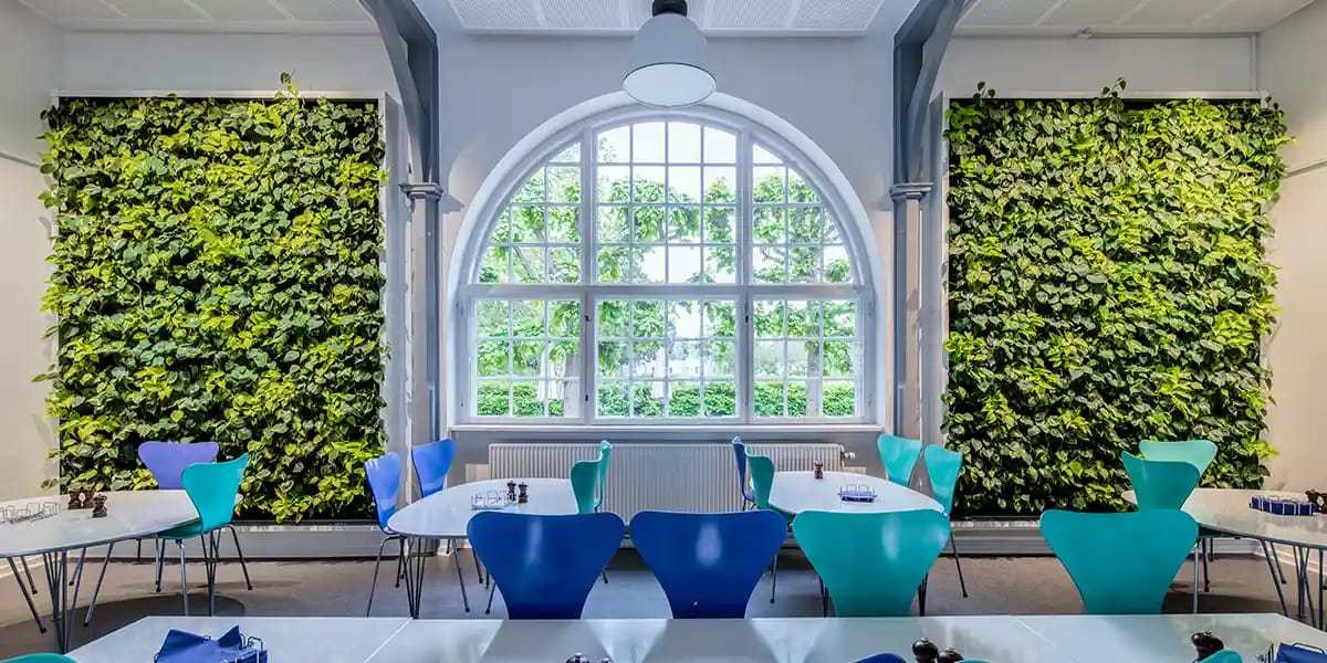 Plantevæg i kantine,