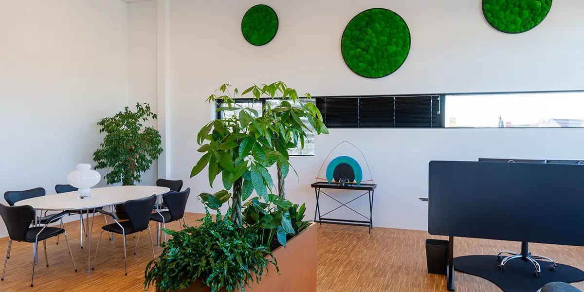 Grønt kontormiljø, moscirkler, corten stål krukker,