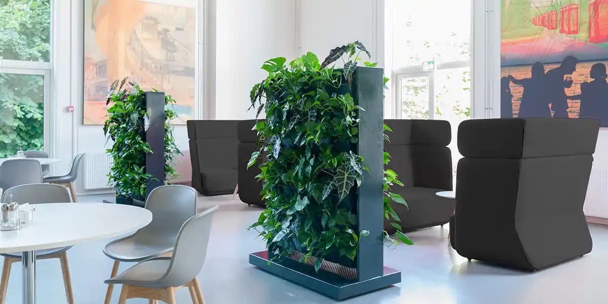 mobil plantevæg på kontor, afskærmning af sofaområde,