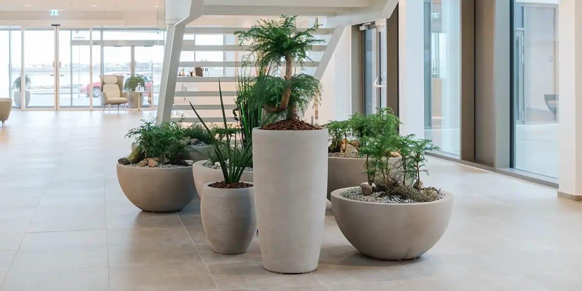 Grupper med grå krukker og grønne planter, indretning af kontor med planter og krukker,