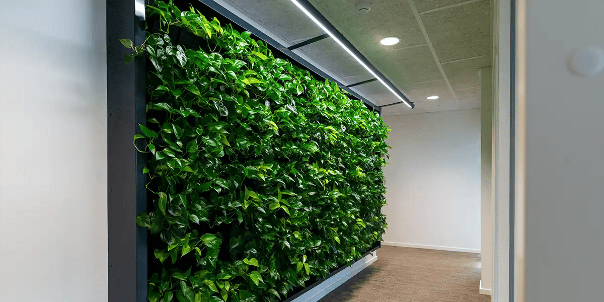 Trappeopgang med plantevæg, Plante væg med indbygget LED lys,