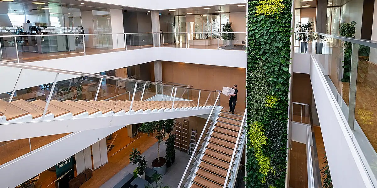 Indendørs plantevæg, plantevæg på kontor,