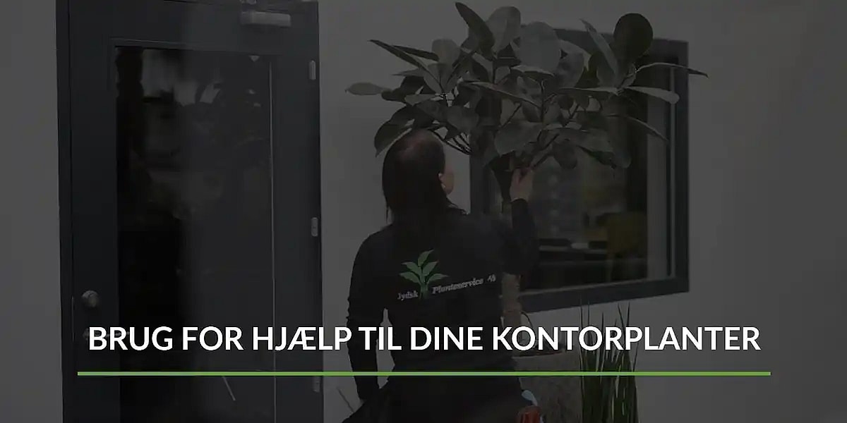 Planteservice film,