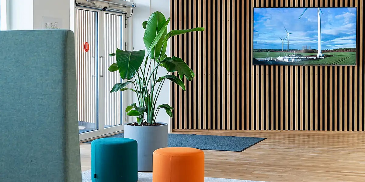 rund grå krukker med strelitzia,