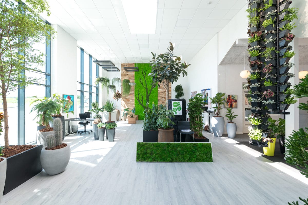 Fremtidens arbejdsplads, showroom med planter, grønt mos,