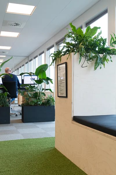 Trækumme med grøn plante,