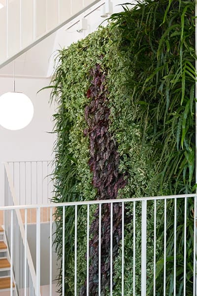 farverig plantevæg hos Malmos,