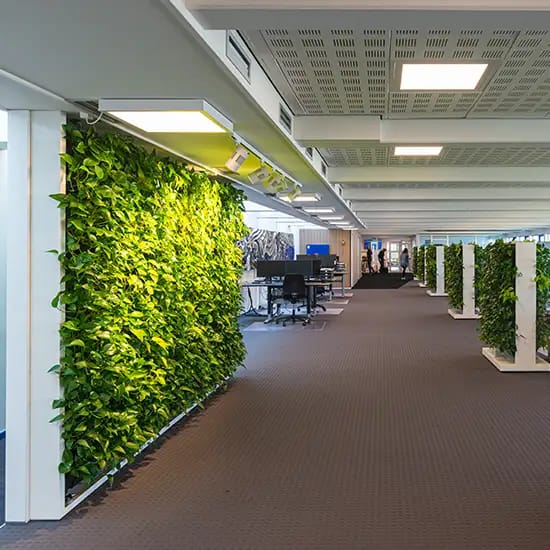 Åbent kontormiljø med plantevæg og mobile grønne vægge,