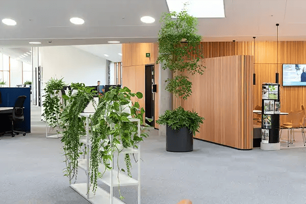 plants in an office environment,