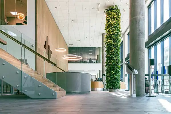 plant pillar in an office environment,