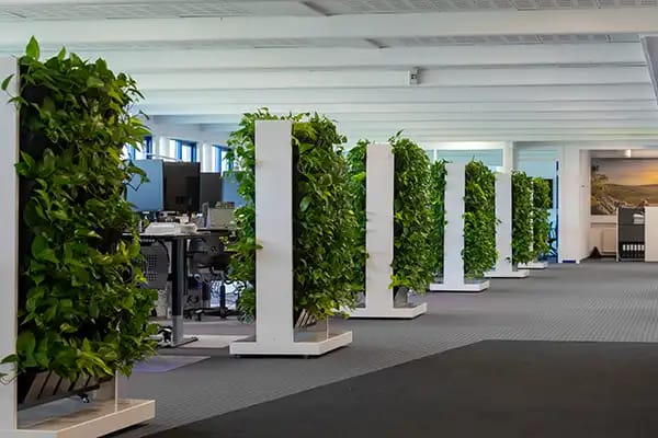 mobile plant walls in an office environment,