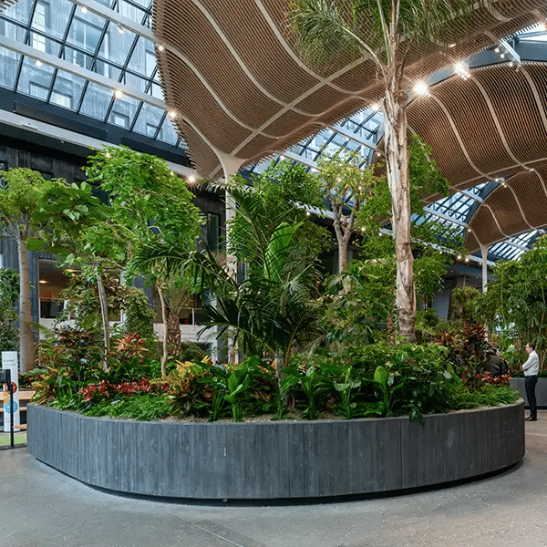 Store indendørs plantebede ved Towers i København,