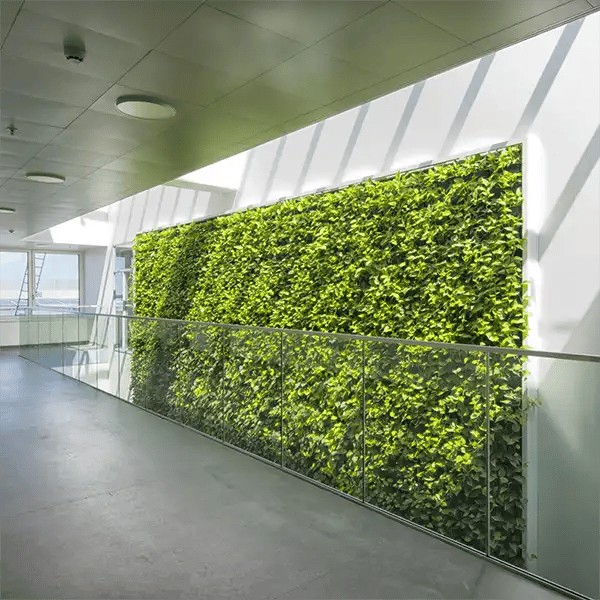 plantevæg indendørs,