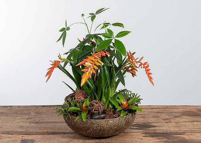 Farverig dekoration, orange blomster,