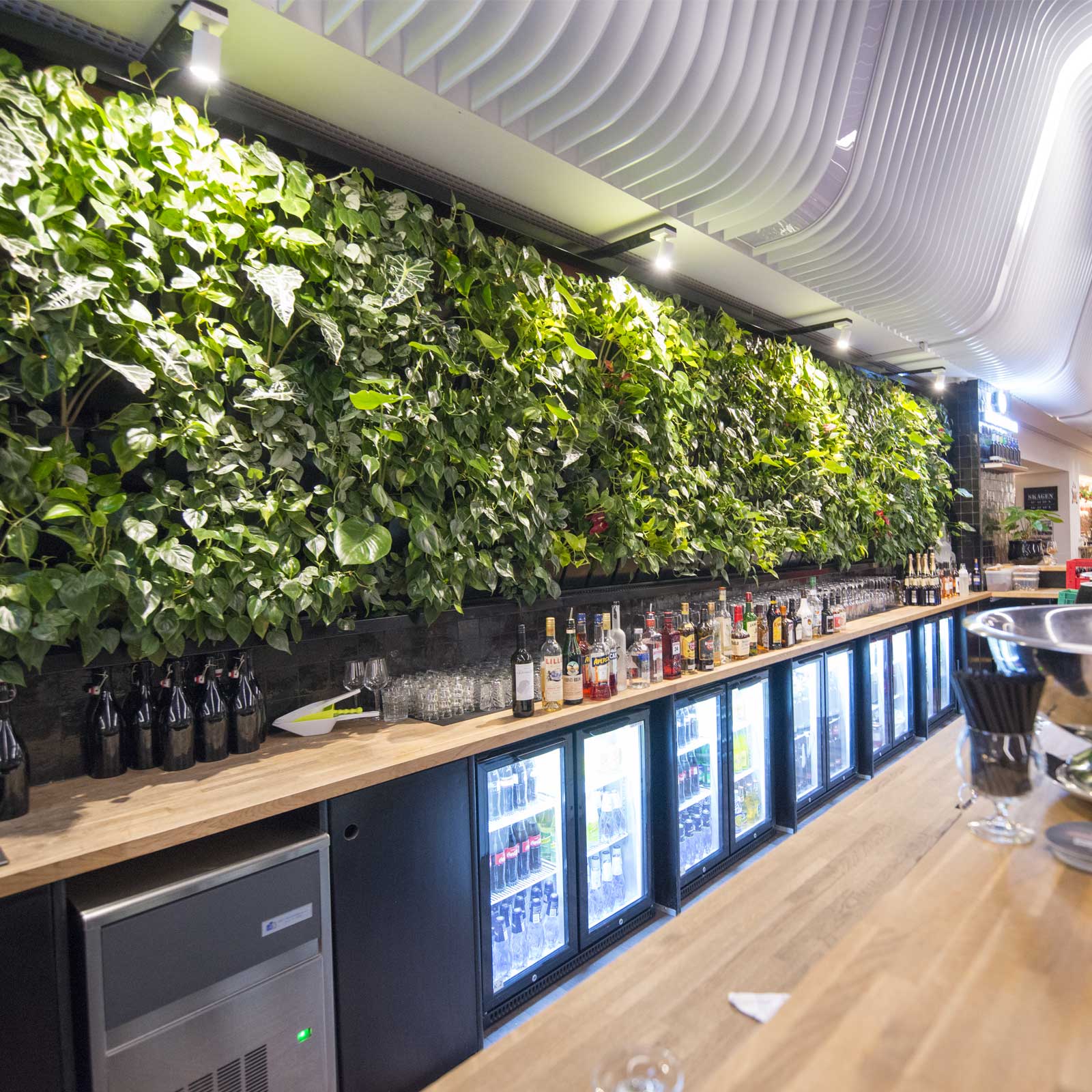 Plantevæg i bar, plantevægge, plantevæg pris