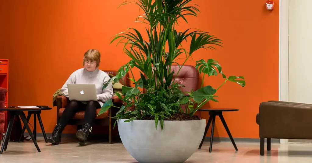 Plantemiljø Borgernes Hus Odense,