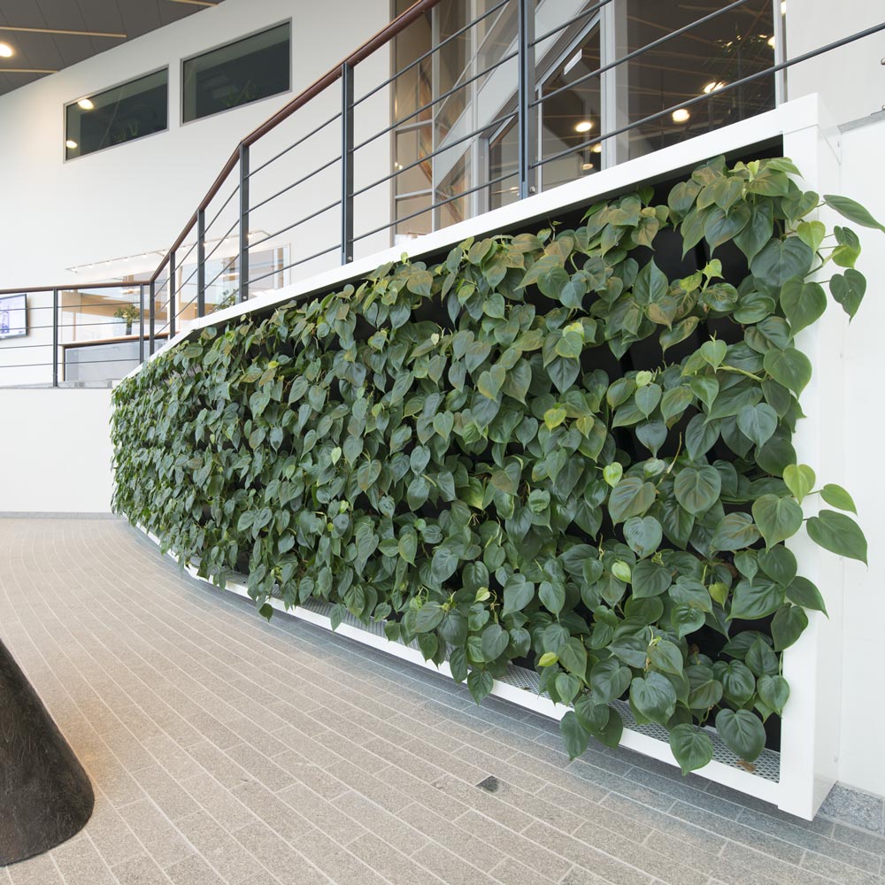 speciel designet plantevaeg,