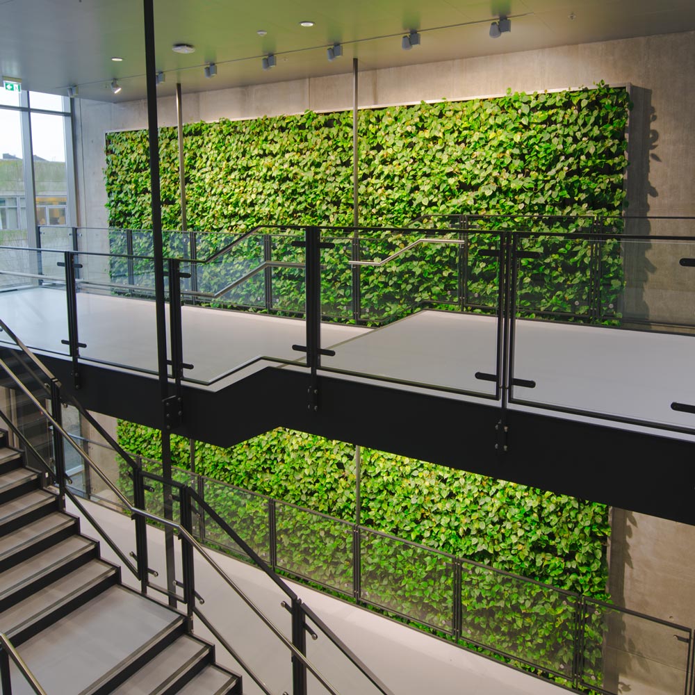 plantevaeg odense,