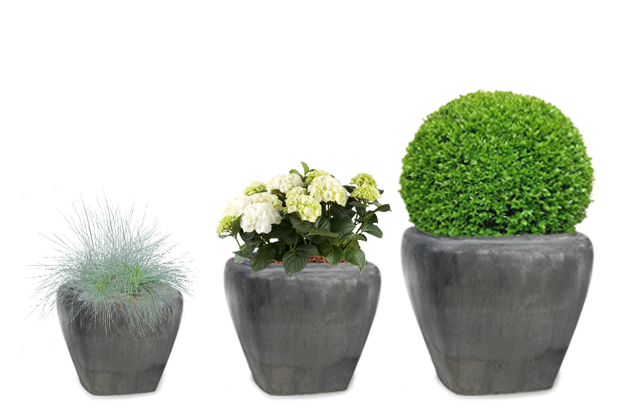 planter i udekrukker,