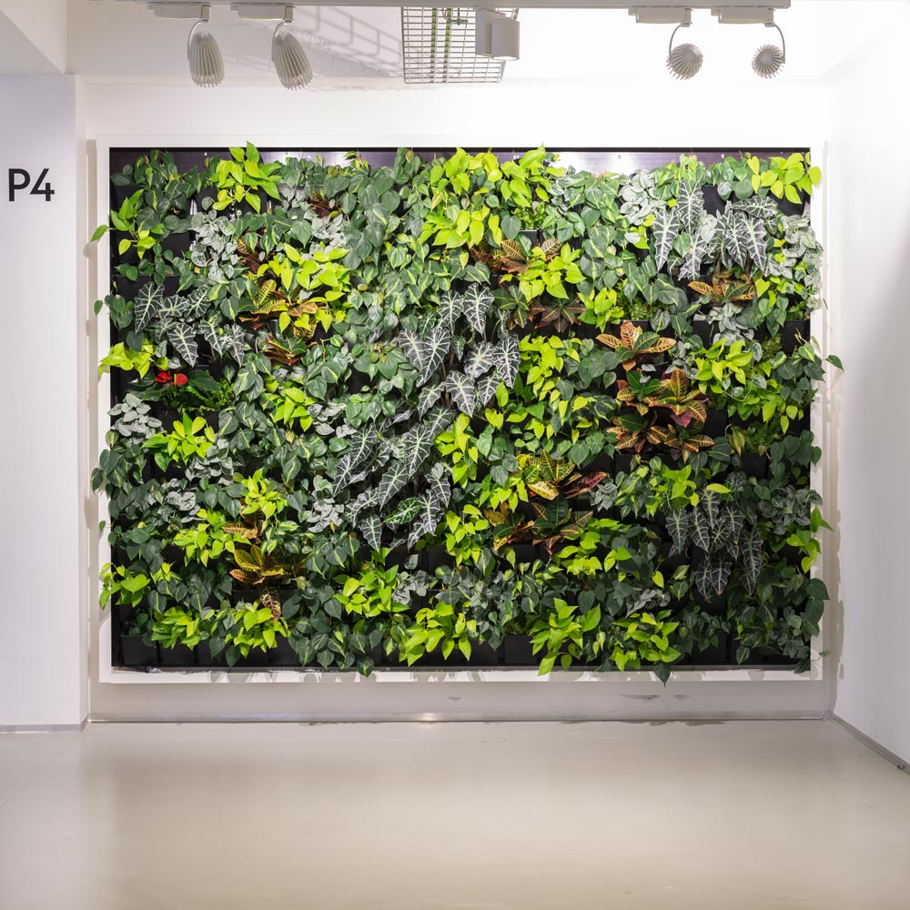 vertical garden, natural Greenwalls,