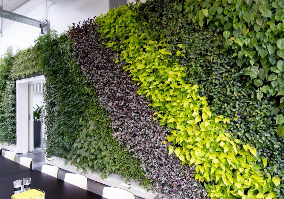plantevæg, grøn væg,