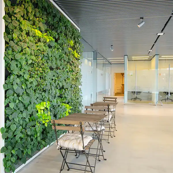 Grøn plantevæg kontor,
