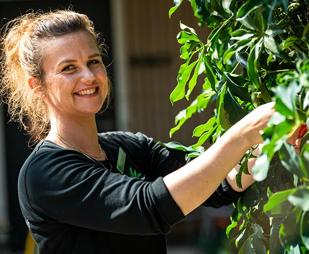 Medarbejder som passer kontorplanter, planteservice,