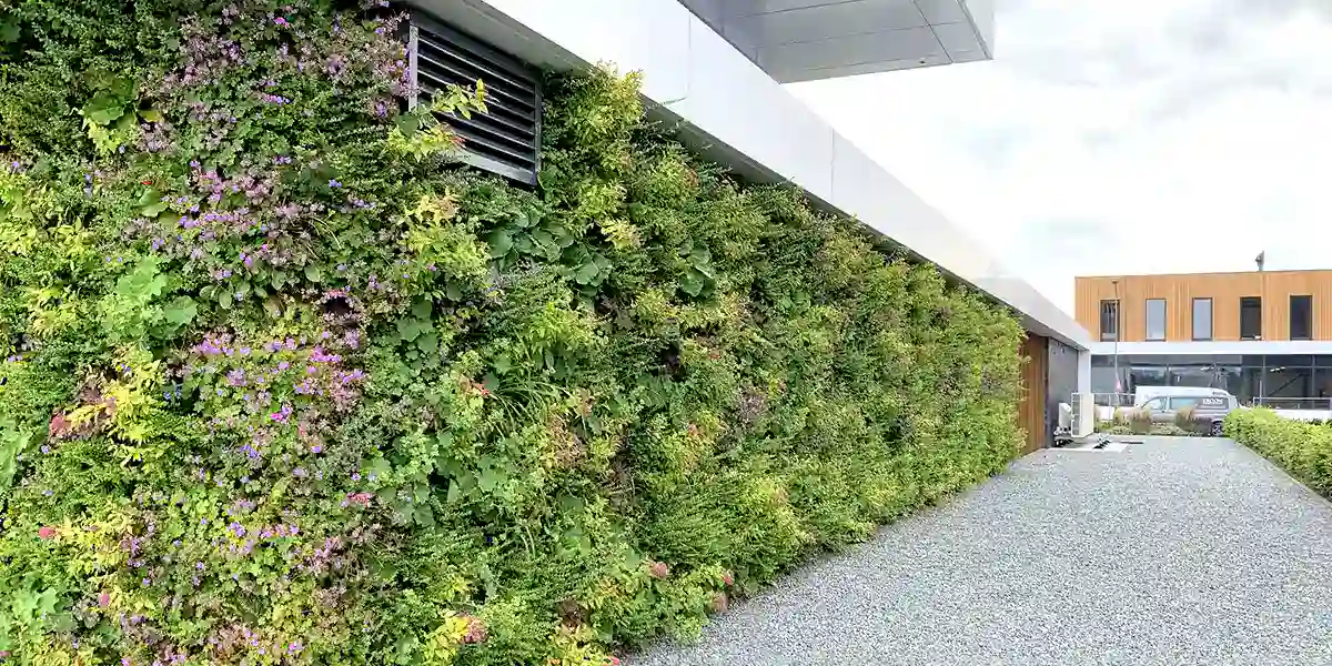 udendørs facade med grøn plantevæg,
