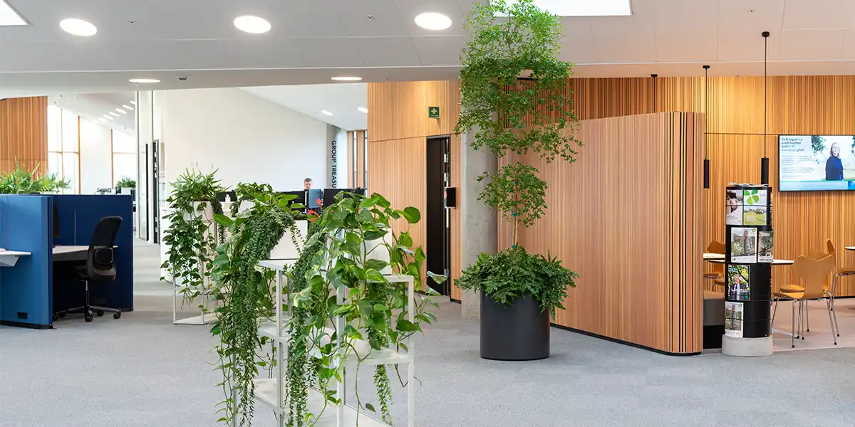 Inspiration til kontoret, Grønne planter på kontor,