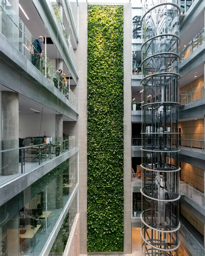 Gellerup plantevæg,