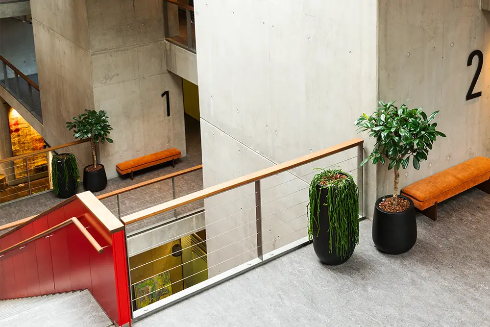 Kritensen Properties indretning, Sorte krukker og grønne planter,