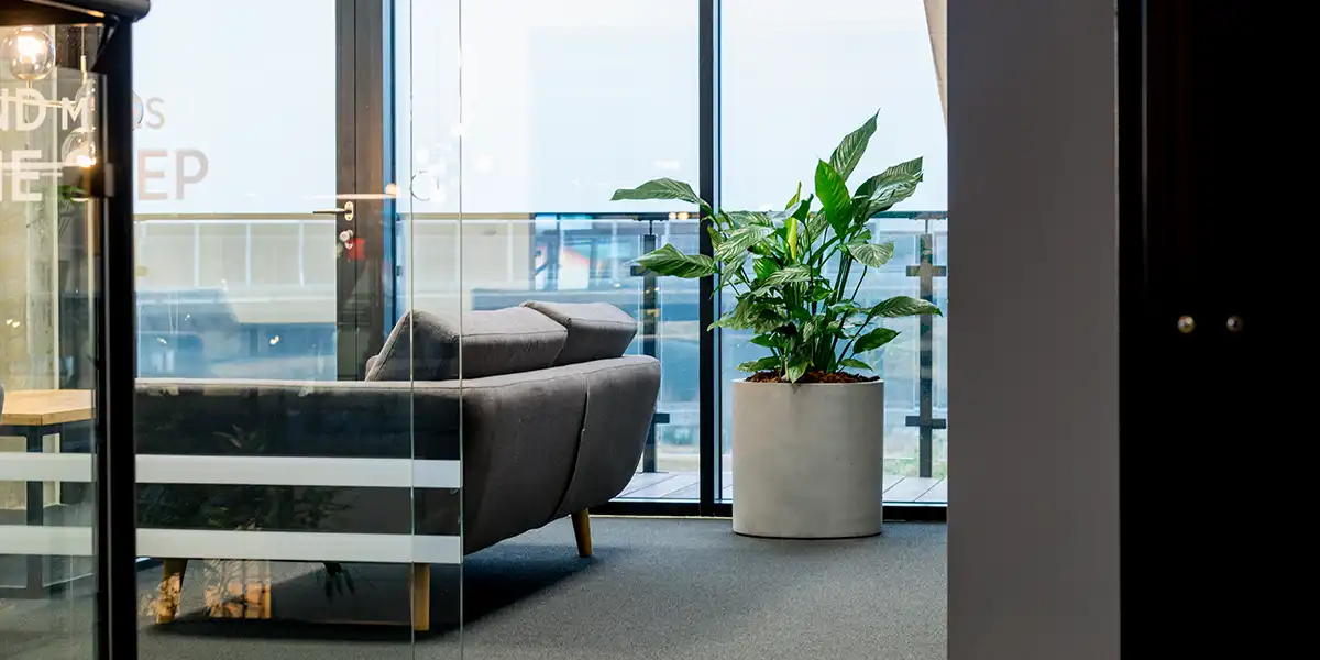 Plante i mødelokale,