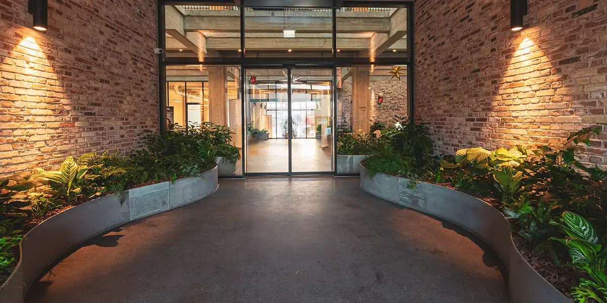 biophilic design,