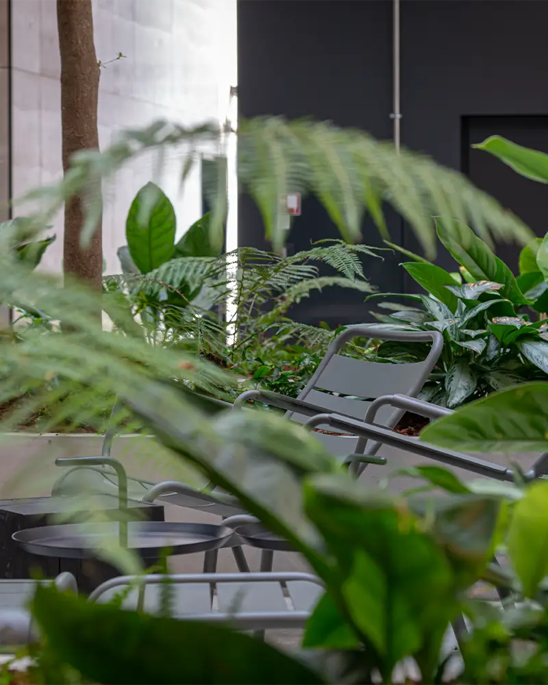 Planteindretning Blixen Aarhus,