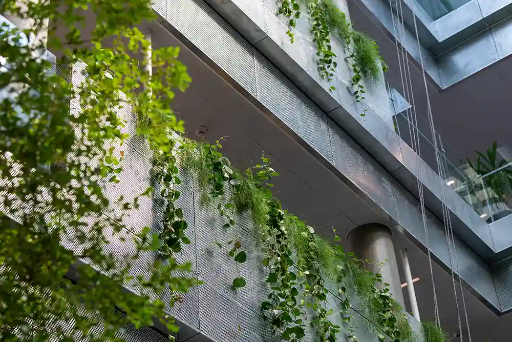 Biophilic design,