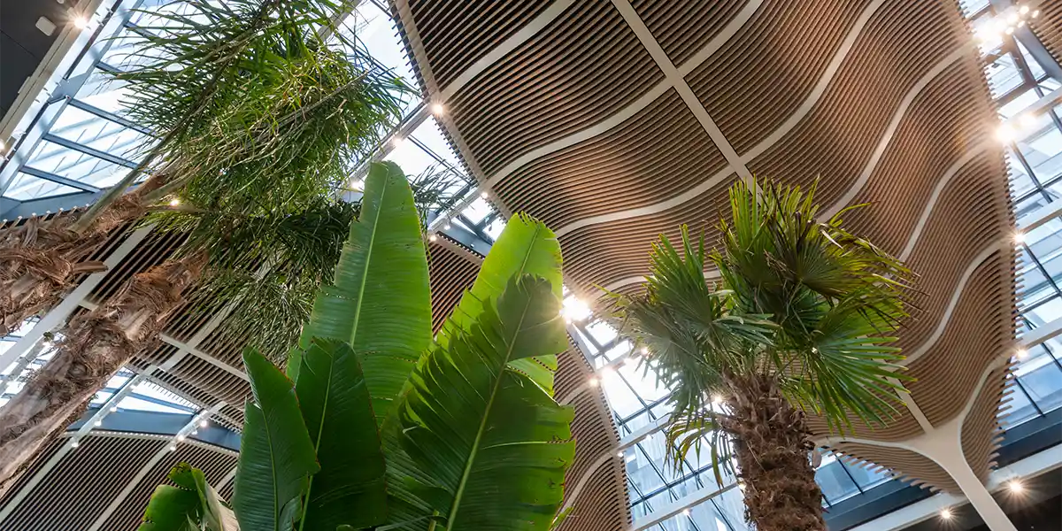 Planter og arkitektur,