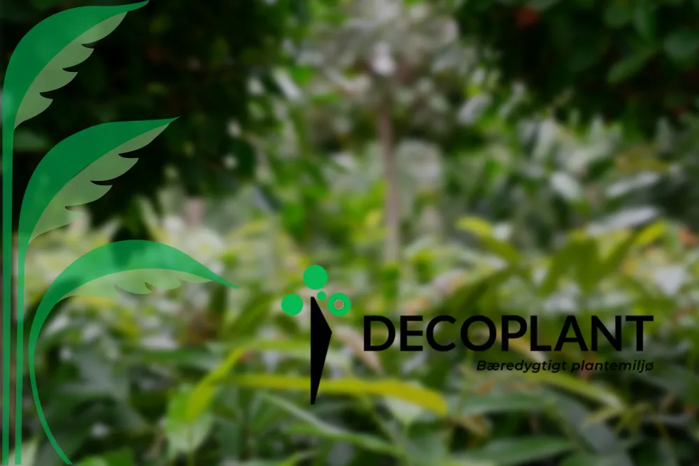 Decoplant Planteservice,