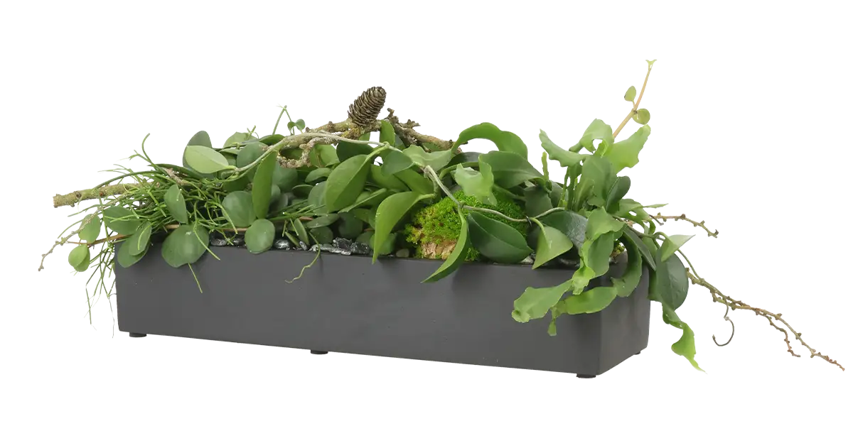 Aflang grøn dekoration med planter,