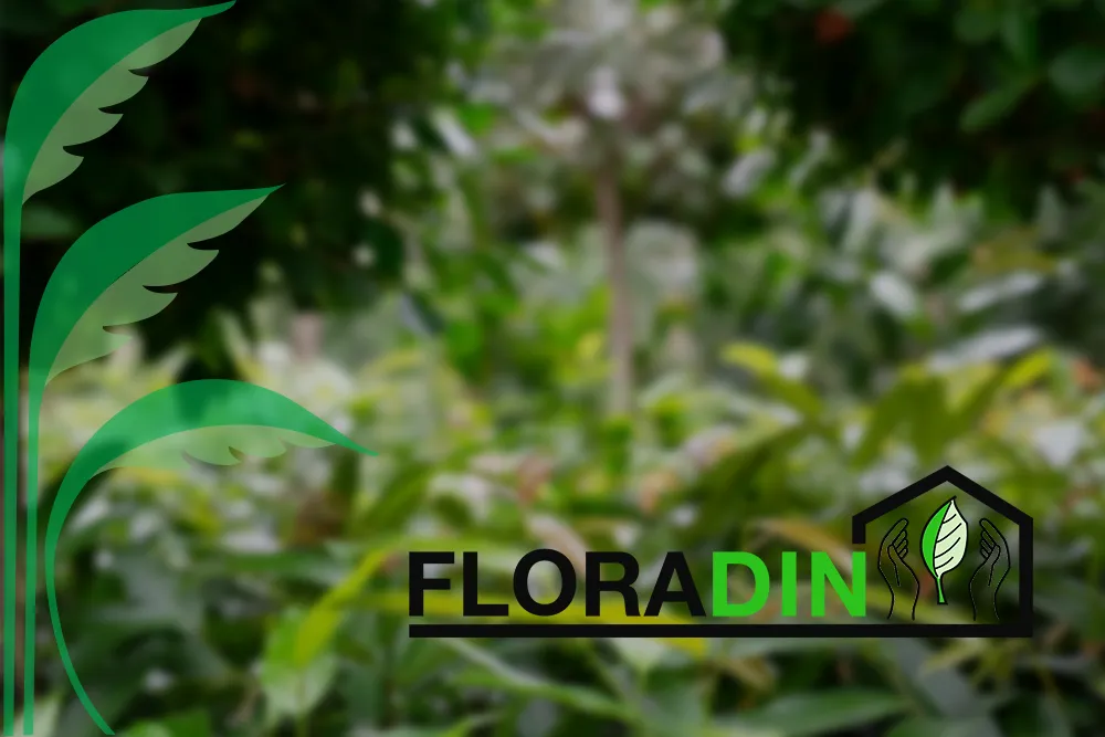 FloraDin Planteservice,