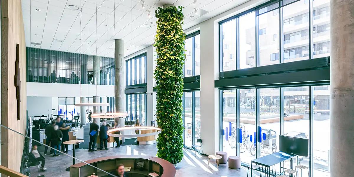 Indendørs plantesøjler,