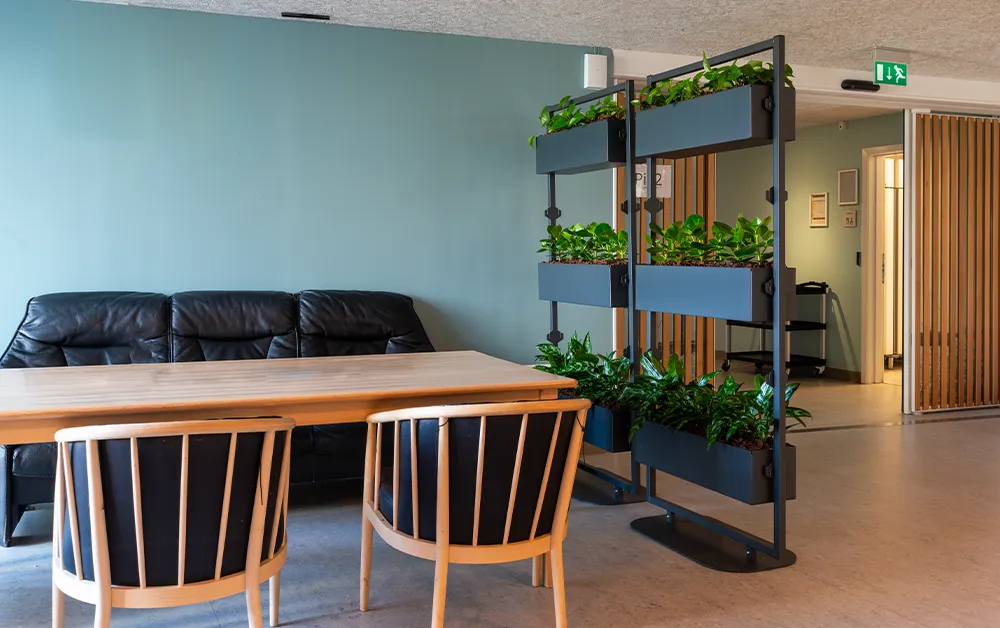 Rumdeler med grønne planter.