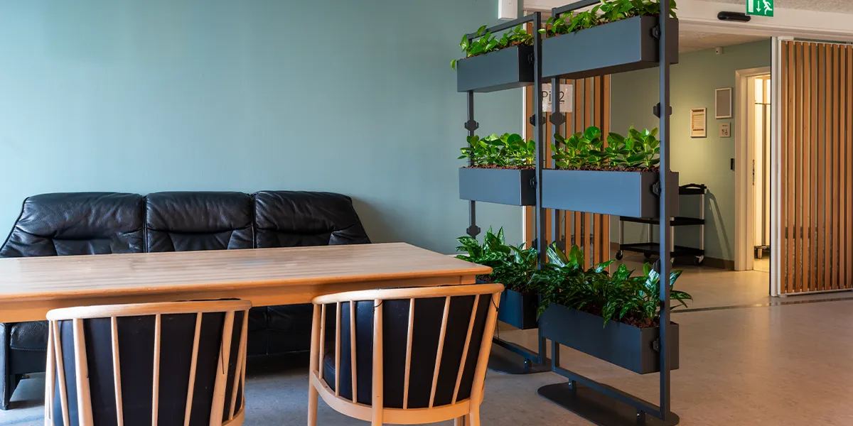 Rumdeler med planter til kontor.