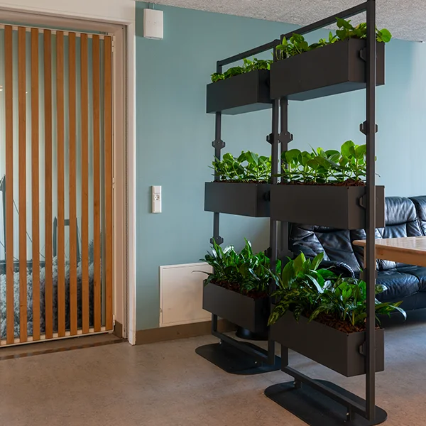 Rumdeler med planter.